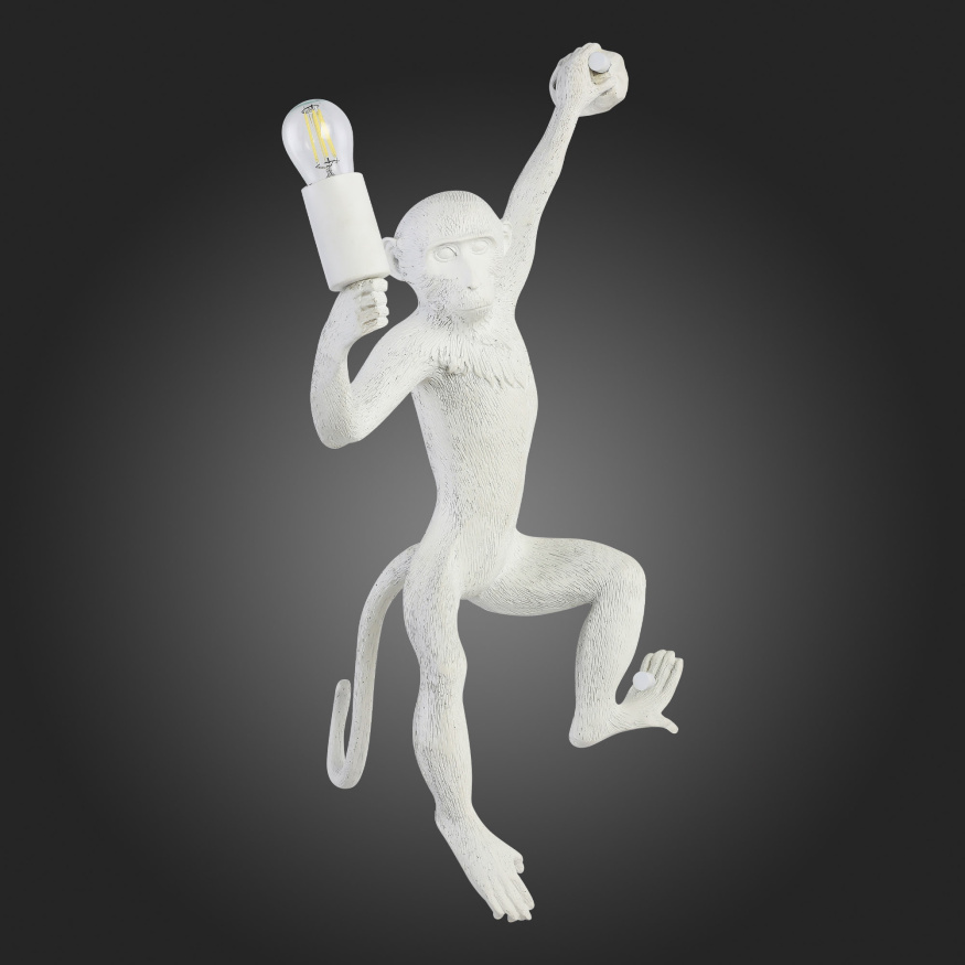 SLE115111-01 Светильник настенный Белый E27 1*60W TENATO EVOLUCE