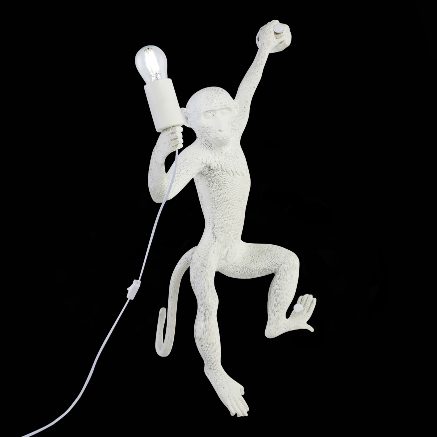 SLE115111-01 Светильник настенный Белый E27 1*60W TENATO EVOLUCE