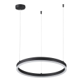 Люстра подвесная Lumion  Echo 6530/34L