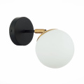 SLE220401-01 Светильник настенный Черный, Латунь/Белый E27 1*60W FORLI EVOLUCE