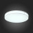 Потолочный светильник Fella SL417.512.01 ST Luce LED 3000-6000K Хай-Тек